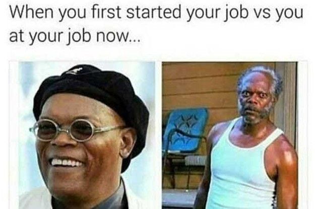 A meme on new grad jobs.